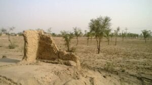 کہاݨی: اُوڑ ـ شفقت اپّی