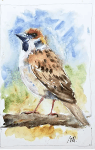 Flowers Of Sparrows by Zubair Ahmed