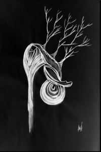 The Whirl of Separation, the Ease of Union: Khawaja Farid’s Poetics of Love- Mushtaq Gaadi